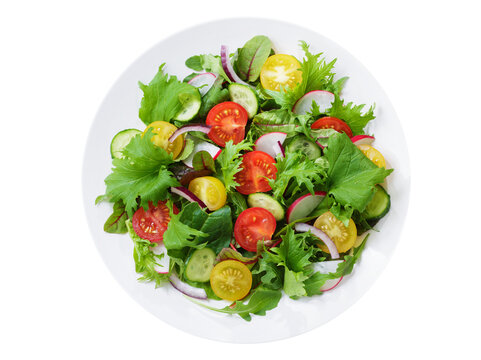 Fit Food Salad Bar